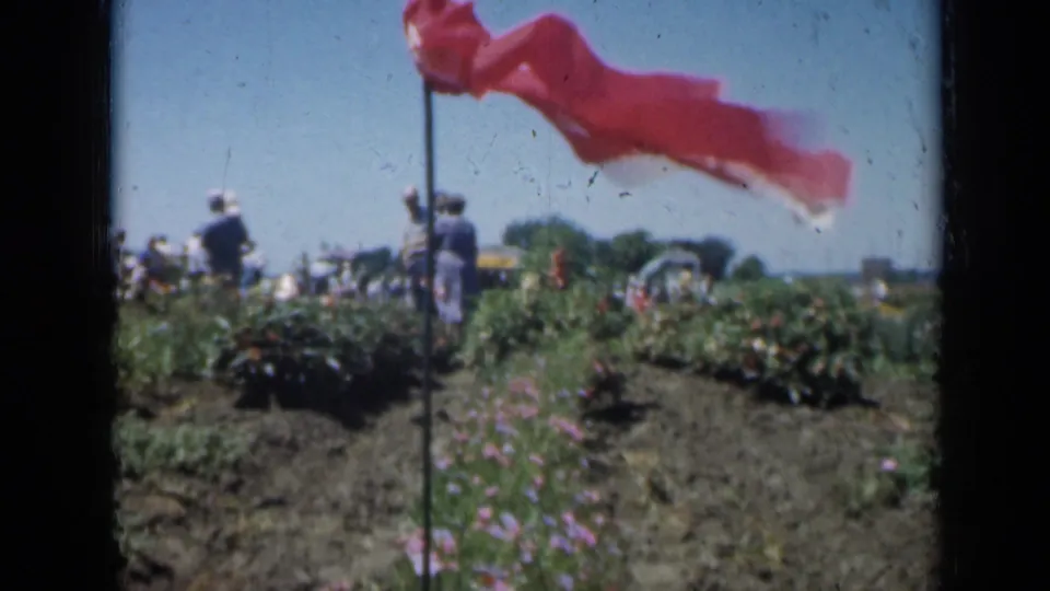 1961 Missouri outdoor garden frame showing a flag, planted rows, and several visitors in the background.