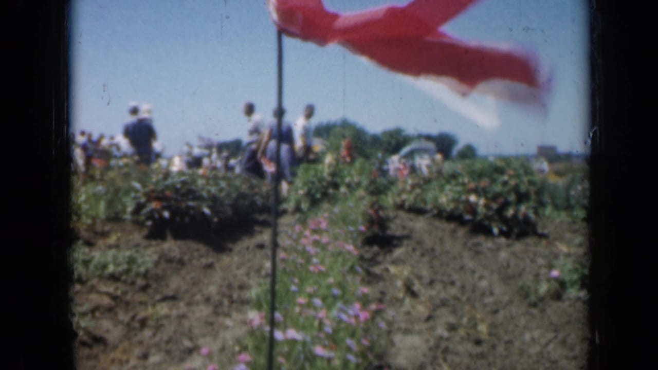 1961 Missouri 8mm frame showing garden beds, distant adult visitors, and a red flag moving across the foreground.