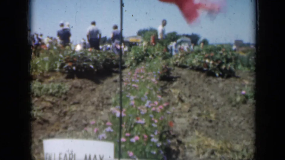 1961 Missouri garden view with planted beds, adult visitors in the background, and a red flag partly visible overhead.
