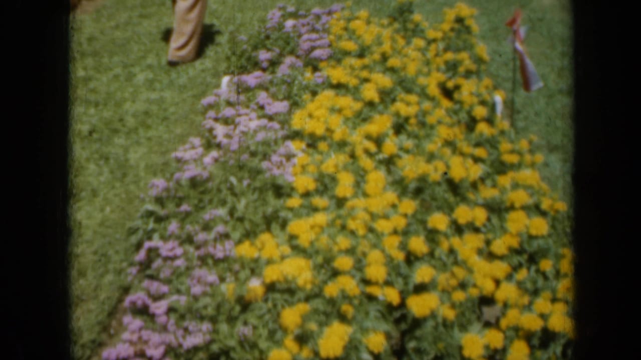 Yellow and purple flower beds bordered by green lawn with partial visitors in the background.