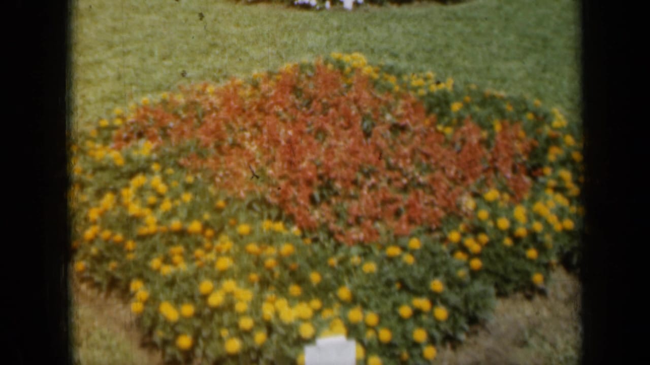 Red and yellow flower bed bordered by green lawn within dark 8mm frame edges.