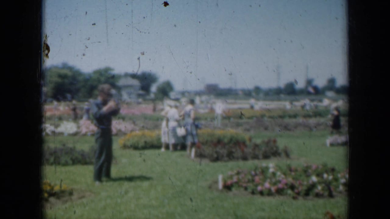 Visitors stand and walk on a lawn near flower beds under a clear sky.