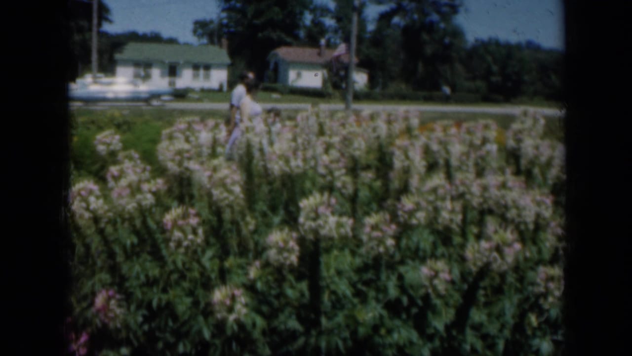 A person appears in a flower-filled garden near roadside houses in Missouri archival home-movie footage.