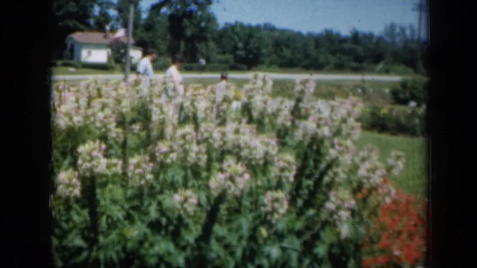 1961 Missouri 8mm frame with two adults in light clothing behind tall pale flower beds and a lawn edge.