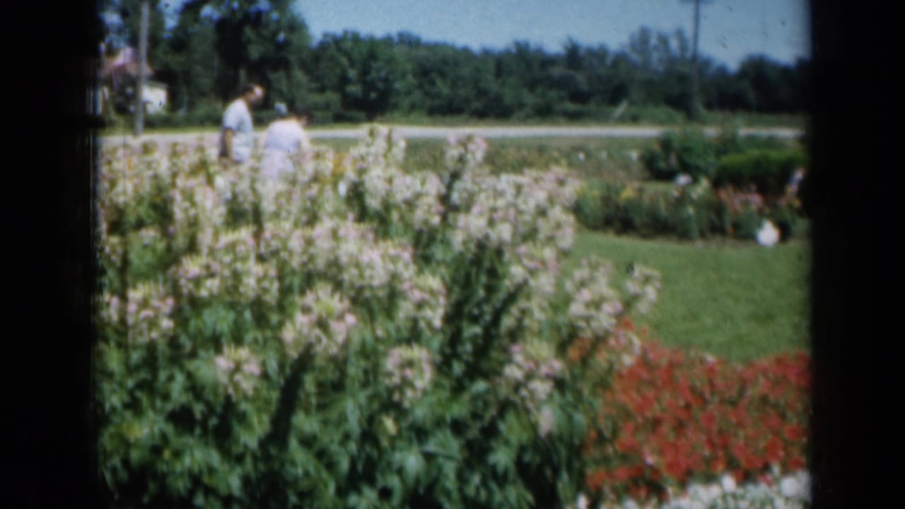 1961 Missouri garden view with adults in the background, pale flowers in front, and red plantings along the right edge.