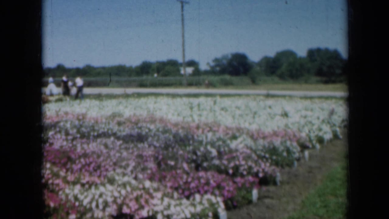 Flower beds fill the foreground while visitors stand near a road in the distance.