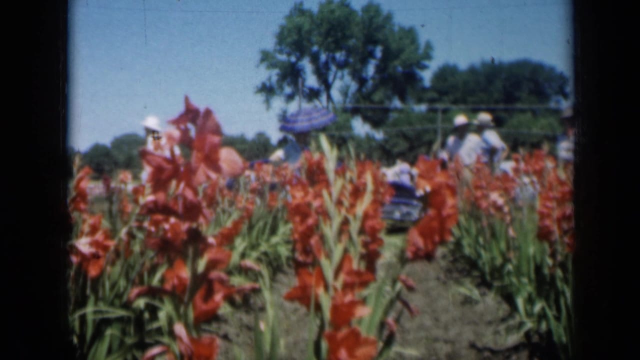 Red flowers line a garden bed as visitors walk in the background.