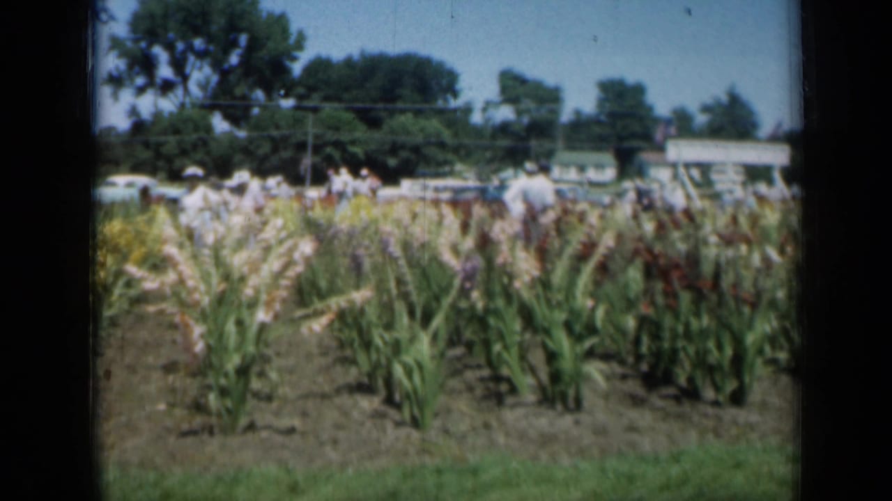 Panning 1961 Missouri 8mm frame showing flower beds, distant garden visitors, parked cars, trees, and a low roadside structure.