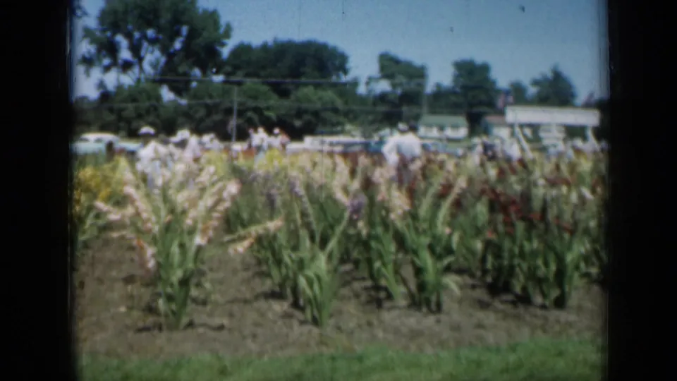 Panning 1961 Missouri 8mm frame showing flower beds, distant garden visitors, parked cars, trees, and a low roadside structure.