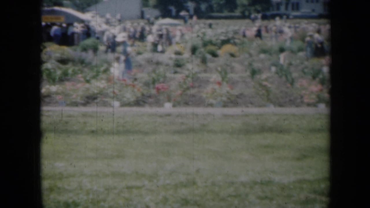 Women and visitors gathered around flower beds in a sunny park or garden.
