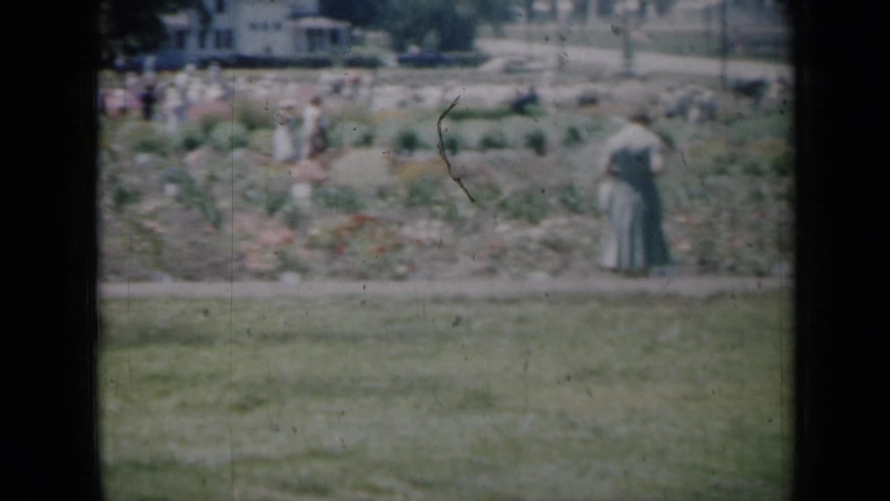 A woman in a long dress stands near flower beds with visitors in the distance.
