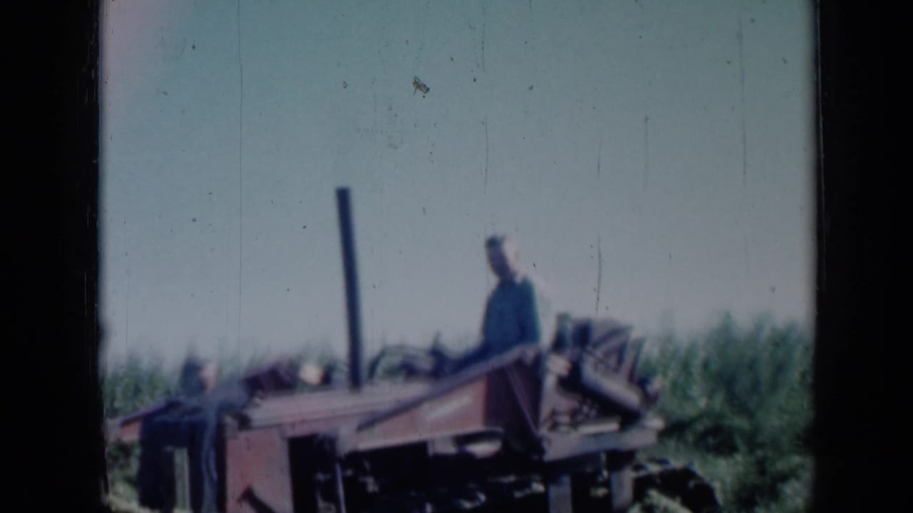 Man seated on a red tractor in a rural field under a bright sky.