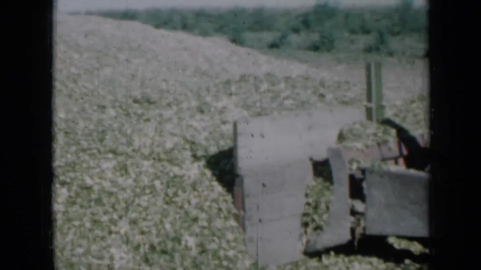 1961 Missouri farm footage appears to show machinery moving or pushing harvested crop material across an open field.