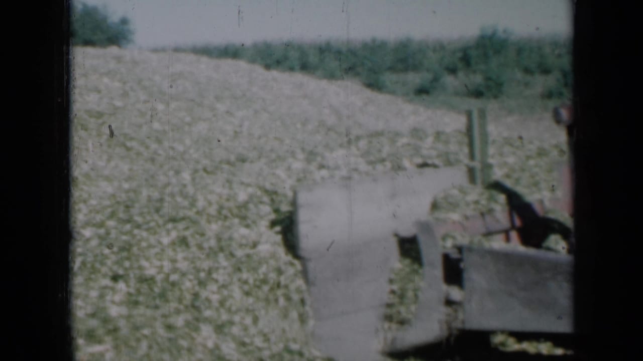 Bulldozer blade pushing a pale mound in a rural field.