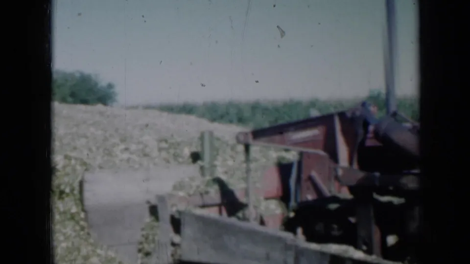 Faded 8mm frame from rural Missouri in 1961 showing the red bulldozer, blade, pale plant material, and a narrow track through the field.