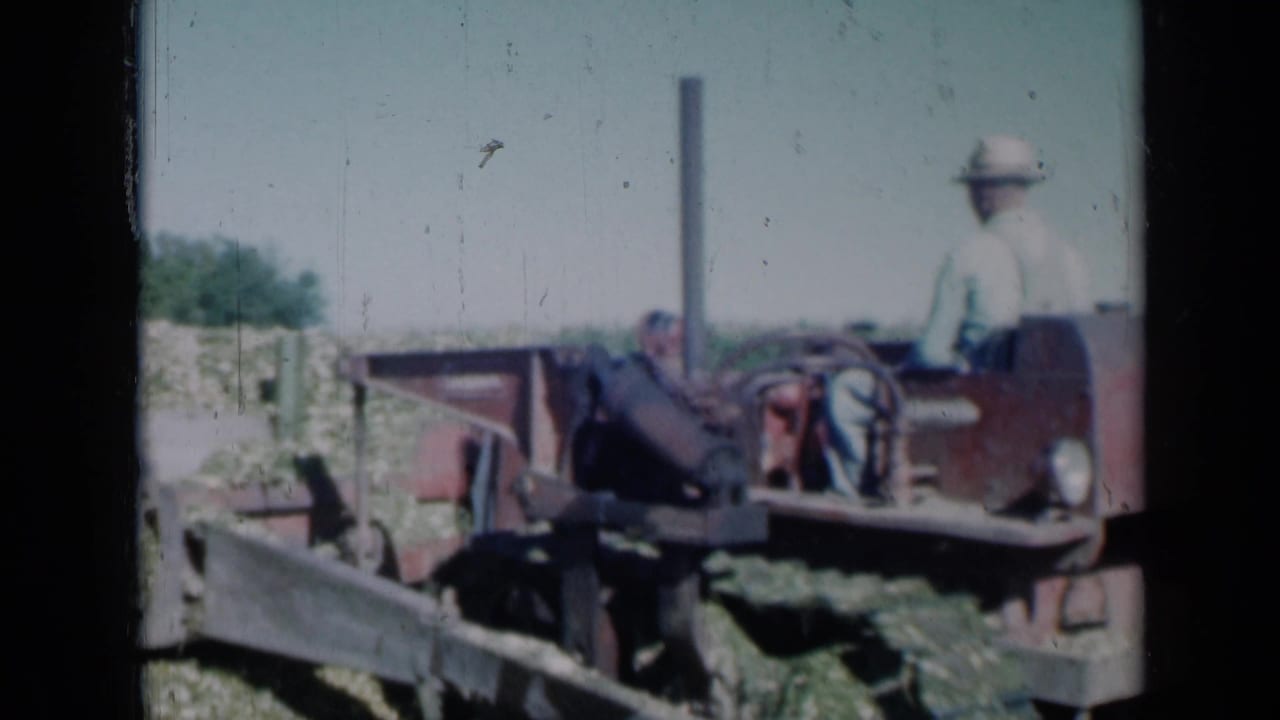 1961 Missouri 8mm frame of a farmer operating a red tracked tractor among cut vegetation in a sunlit field.