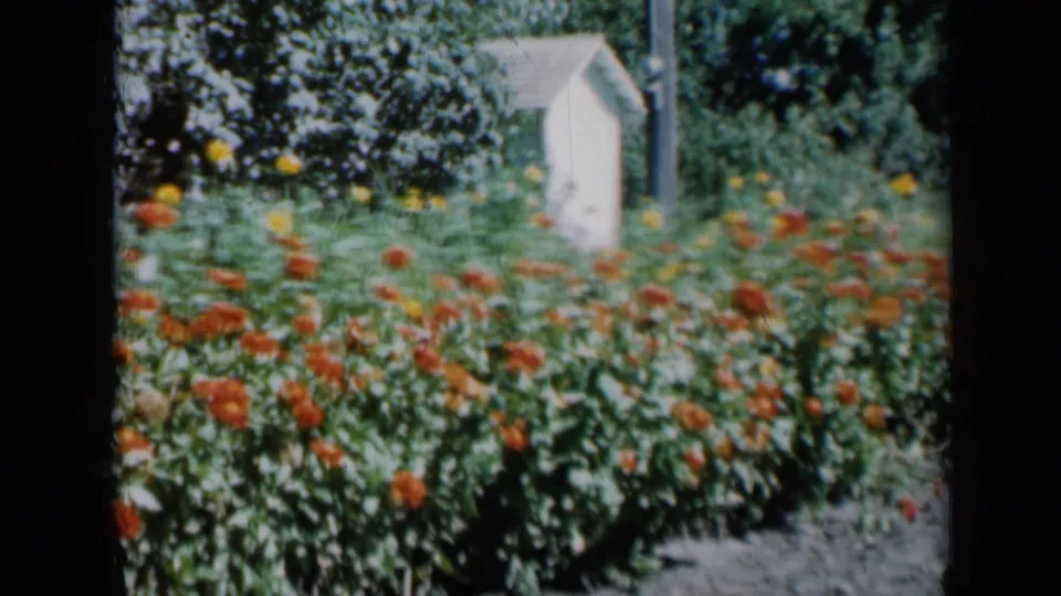 1961 Missouri 8mm view of a flower bed, shaded trees, a pole, and a small white garden structure.