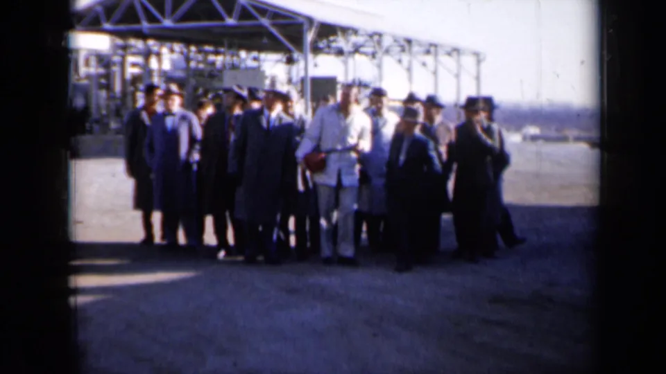 The visitor group gathers in sunlight near the plant canopy, with several suited men and at least one person in light work clothing visible.