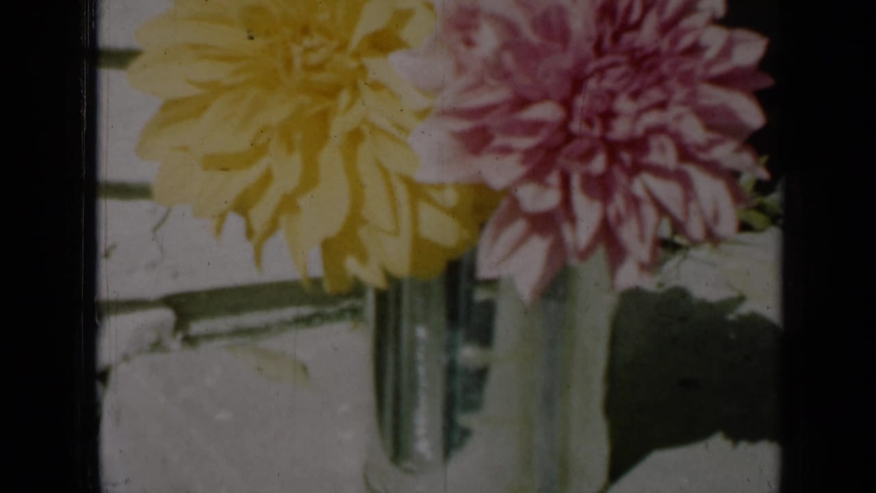 Yellow and pink dahlias in a glass vase beside pale siding.