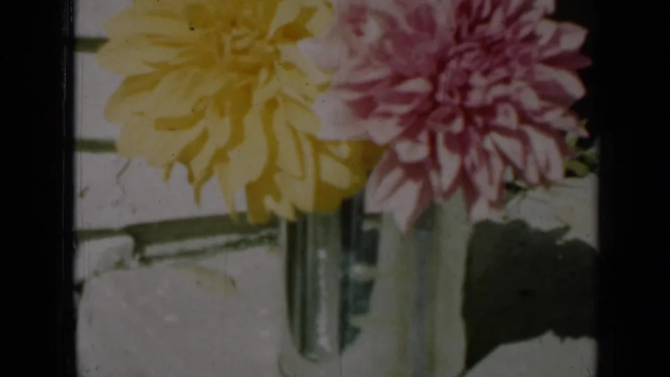 1961 Missouri 8mm frame with yellow and pink dahlias in a clear glass vase, framed by dark film borders and faded color.