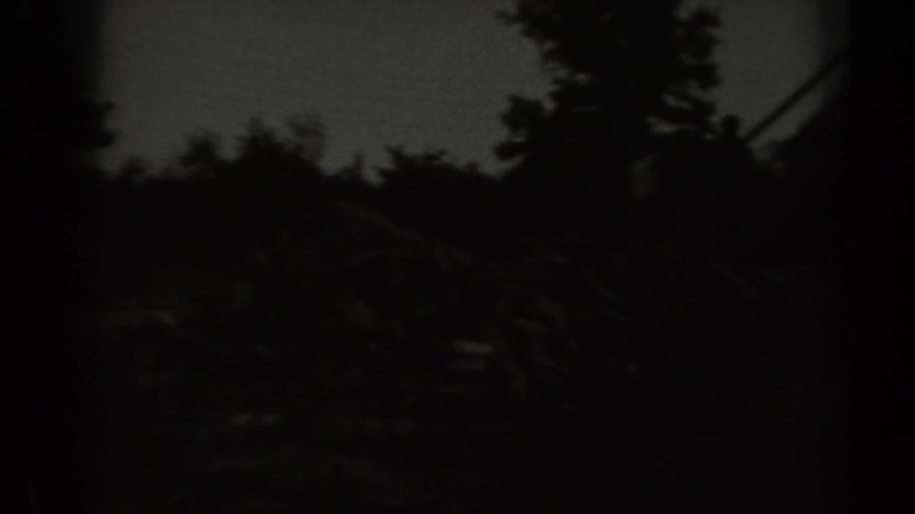 Dark 1961 Missouri 8mm farm view with cattle silhouettes moving through a shadowed yard near trees and fence lines.
