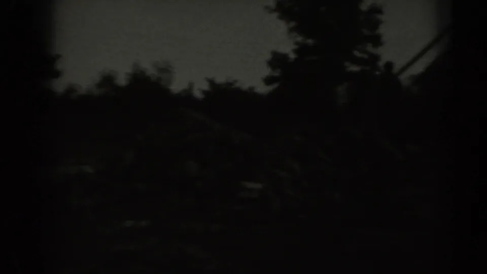 Dark 1961 Missouri 8mm farm view with cattle silhouettes moving through a shadowed yard near trees and fence lines.