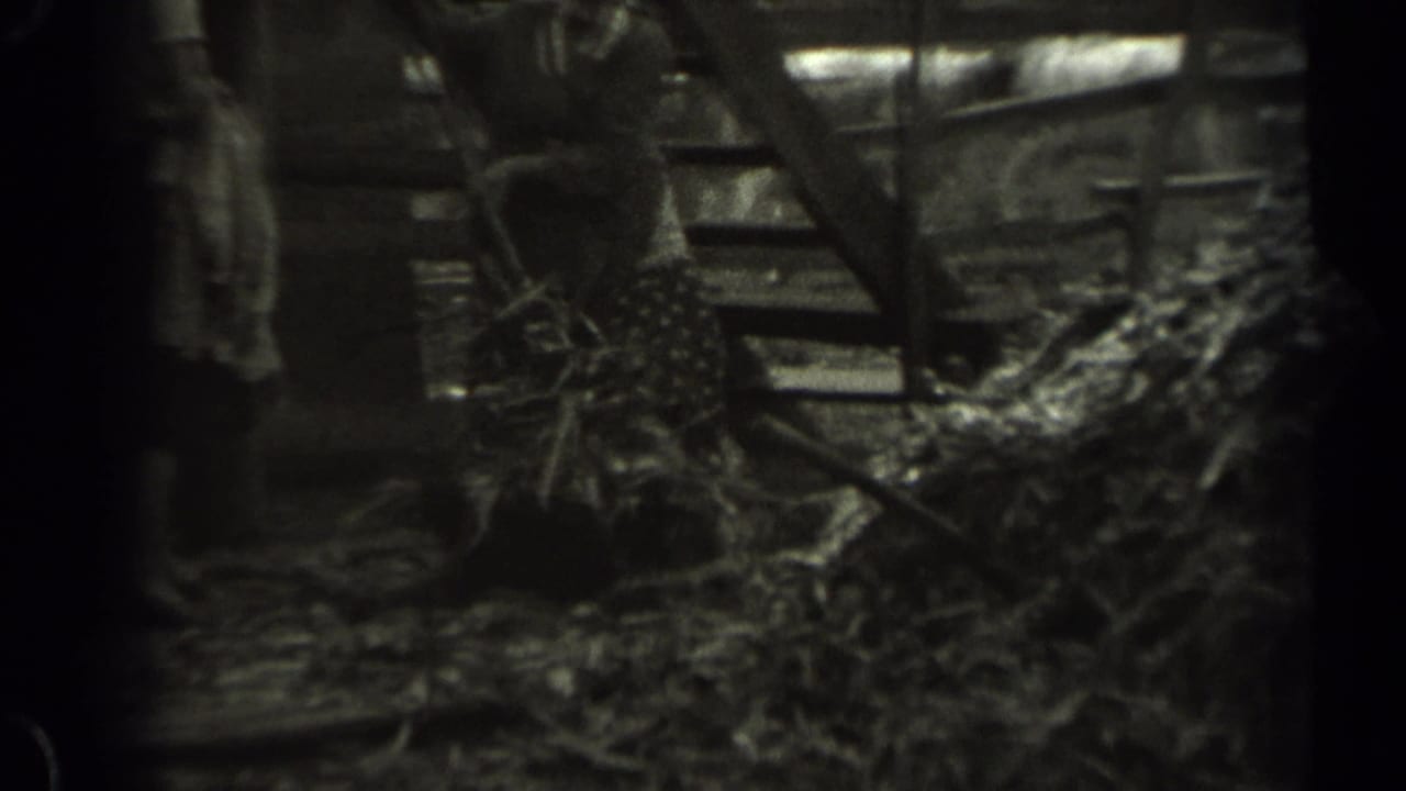 A partly obscured adult worker appears near barn structure and loose hay or straw in the 1961 Missouri farm footage.