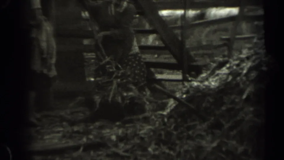 A partly obscured adult worker appears near barn structure and loose hay or straw in the 1961 Missouri farm footage.