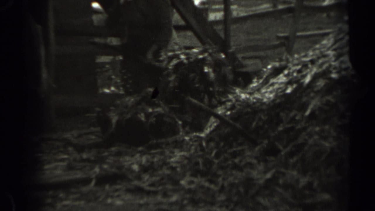 The final frame shows a partially visible worker using or holding a pitchfork around loose hay or straw in a barn setting.