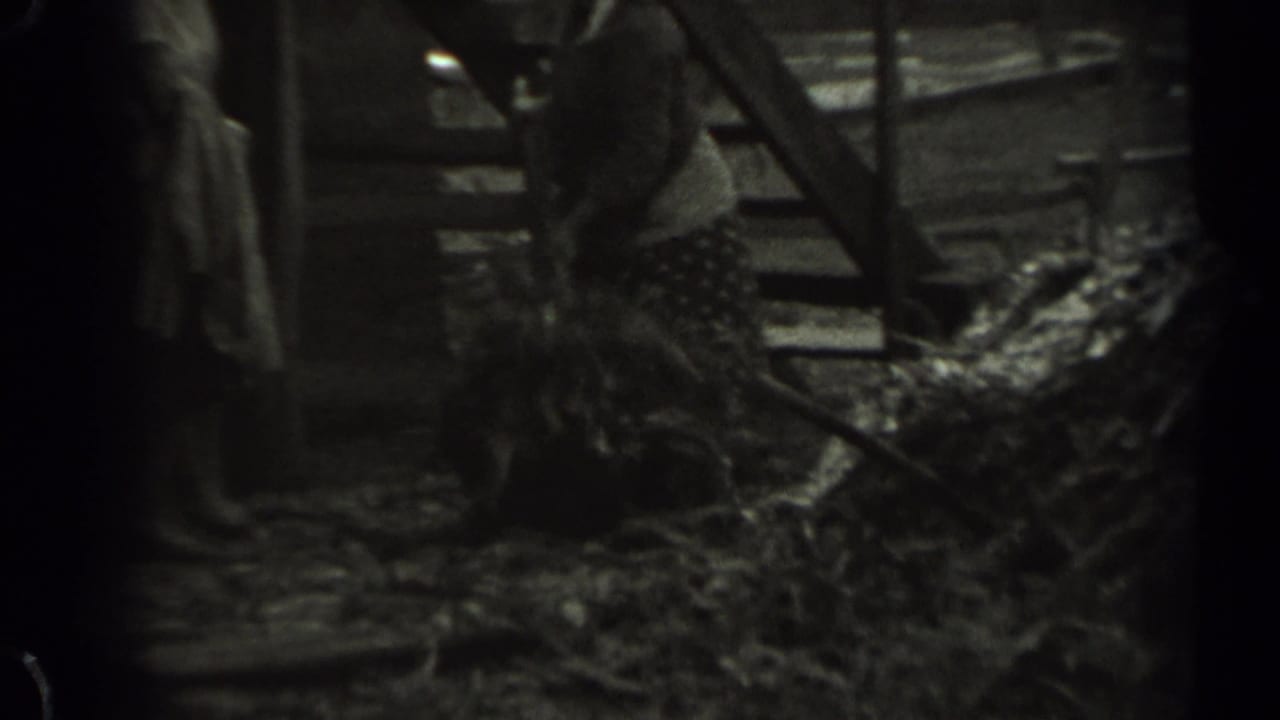 In 1961 Missouri home-movie footage, a man appears to gather hay with a pitchfork inside a dim barn as a woman stands to the side.