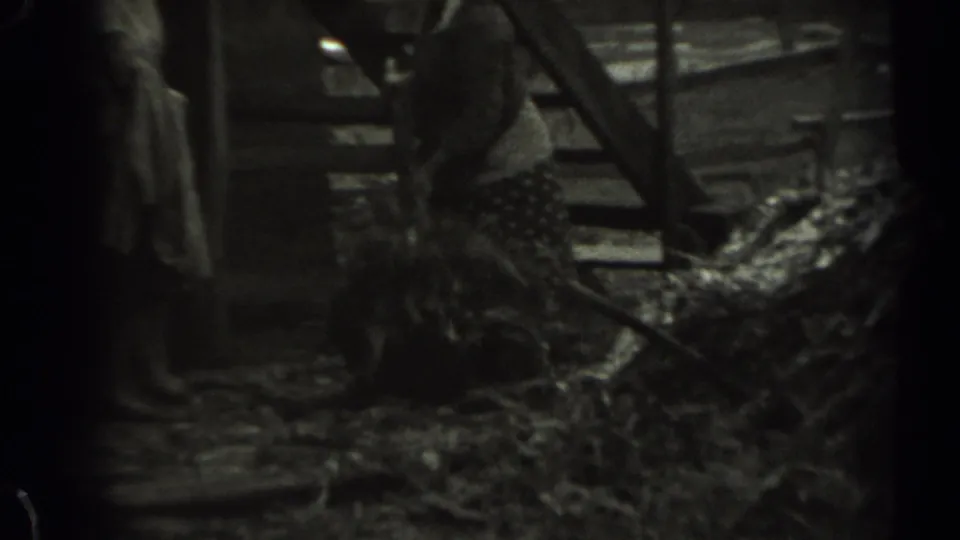 In 1961 Missouri home-movie footage, a man appears to gather hay with a pitchfork inside a dim barn as a woman stands to the side.