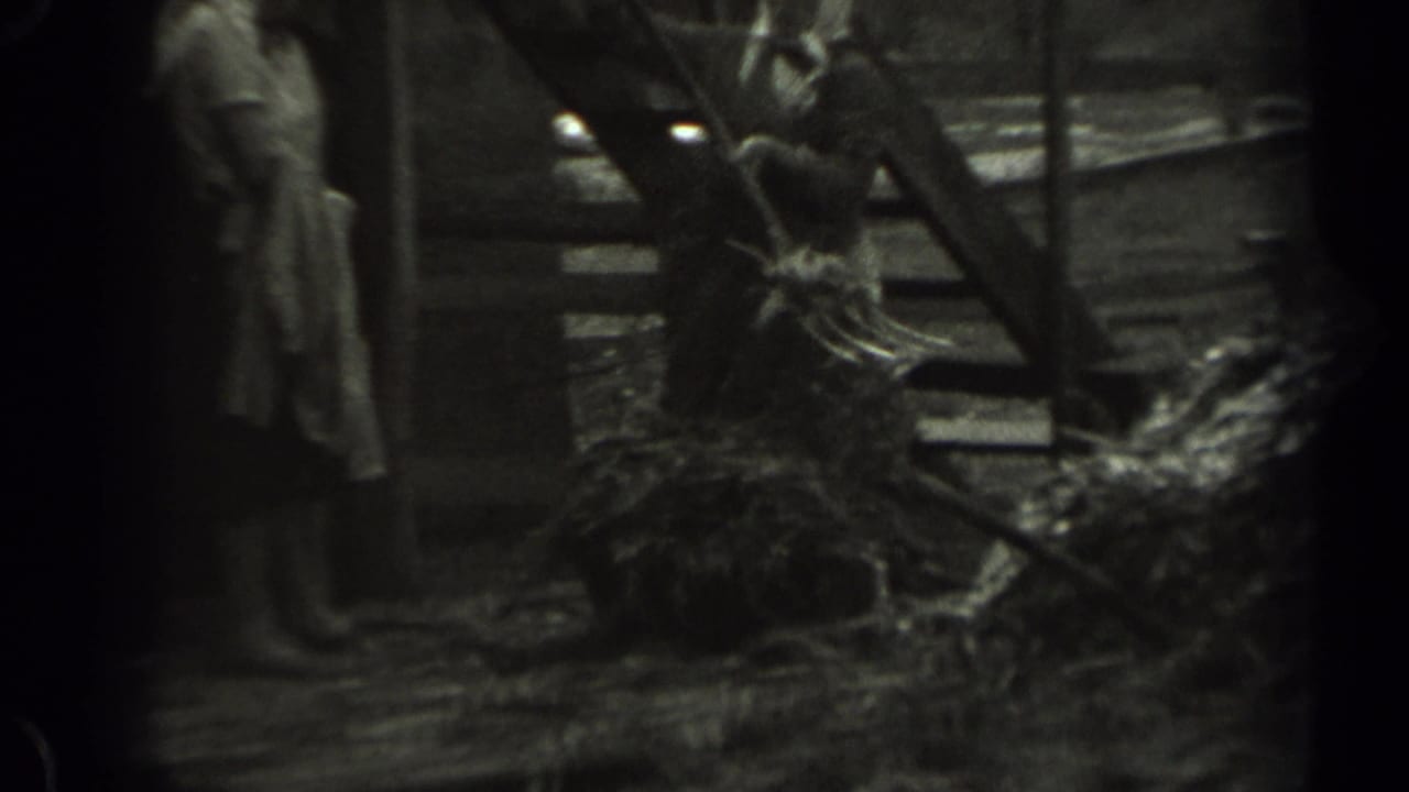 A woman in a light dress stands near loose hay and rough barn framing as a man continues farm work in this Missouri 8mm scene.