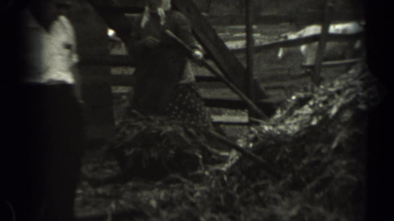 A close, grainy barn view shows a person bending or working near loose hay, with wooden beams and another figure at the edge of frame.