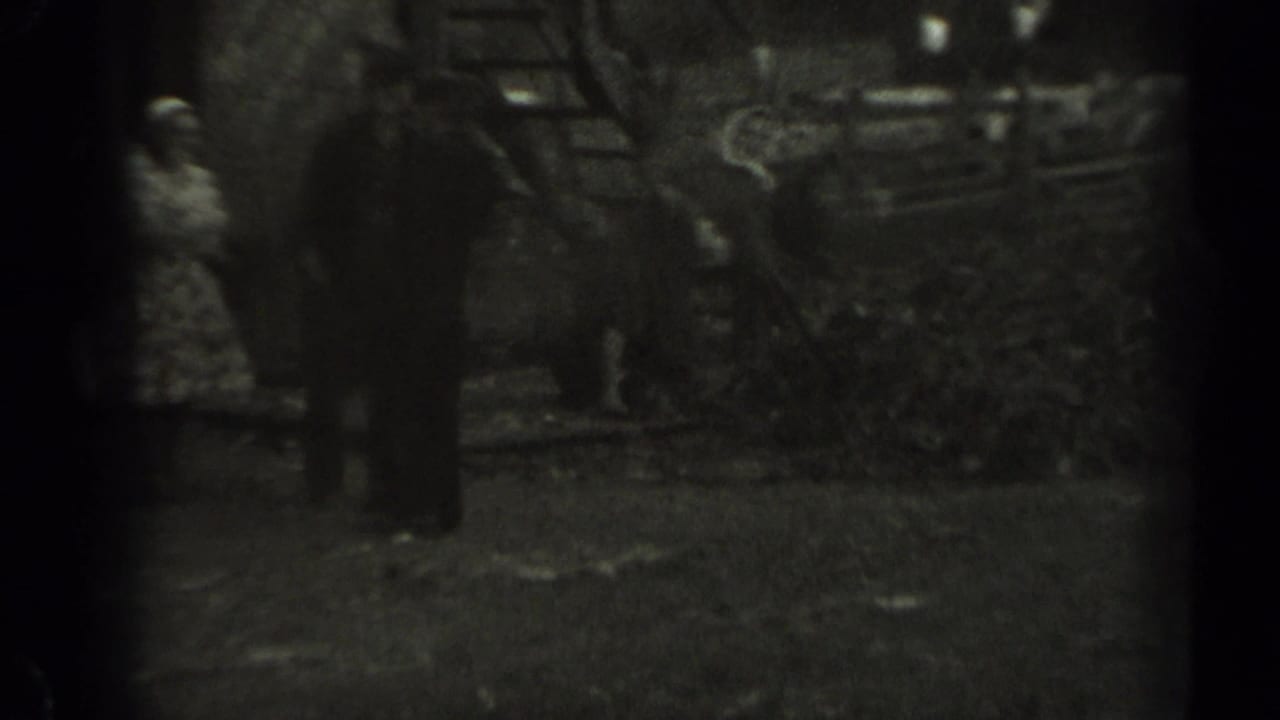 A woman in a patterned dress and a man in dark clothing stand near brush or leaves by a wooden fence in rural Missouri footage from 1961.