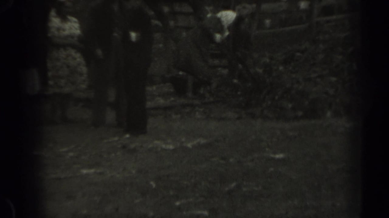 1961 Missouri yard scene with a woman in a pale headscarf bending over a rake while nearby adults stand by a wooden fence.