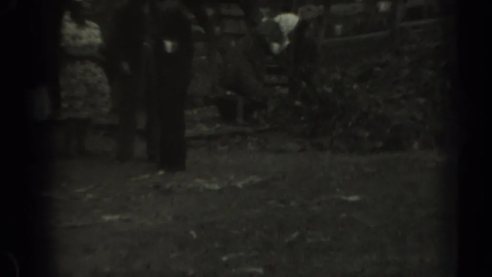 1961 Missouri yard scene with a woman in a pale headscarf bending over a rake while nearby adults stand by a wooden fence.