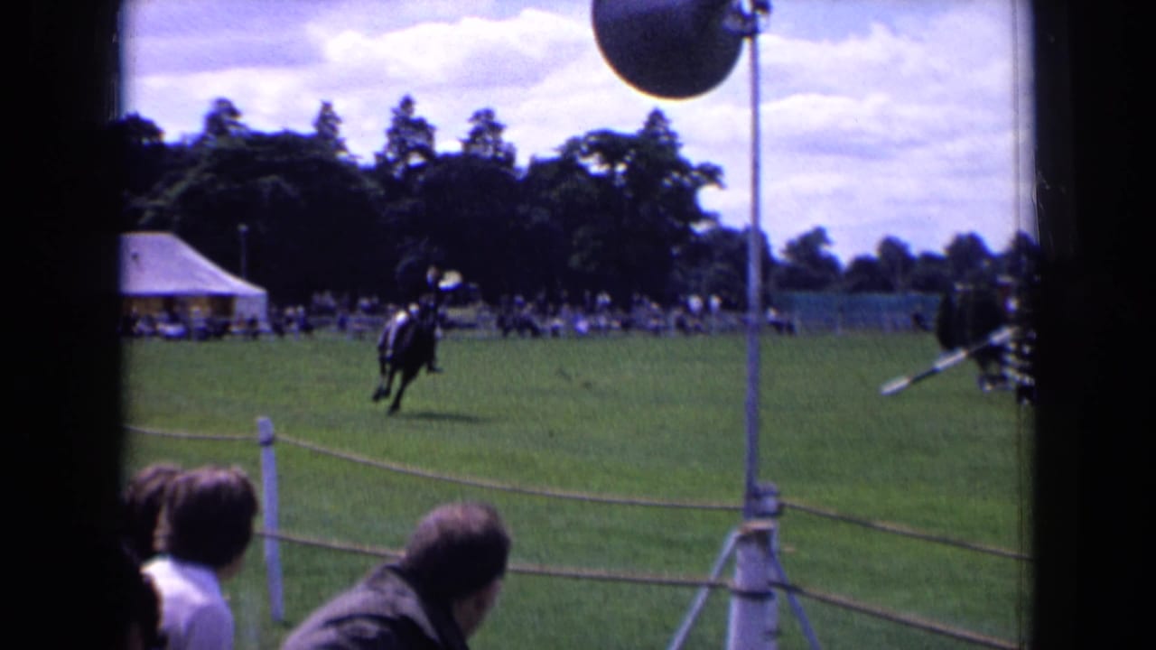 Dark horse and rider galloping near spectators on a roped grassy event field.