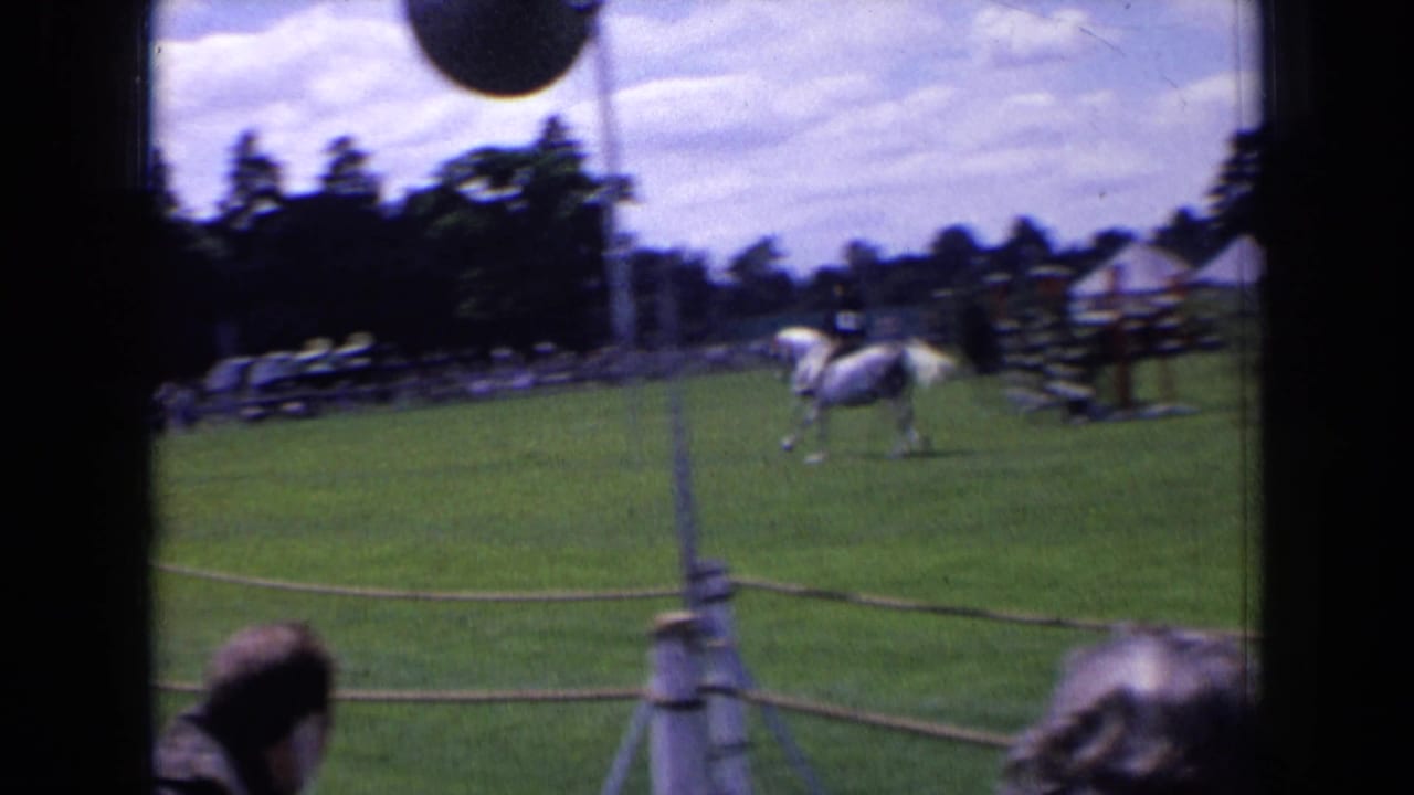 Horse and rider moving along a roped grassy field with spectators nearby.