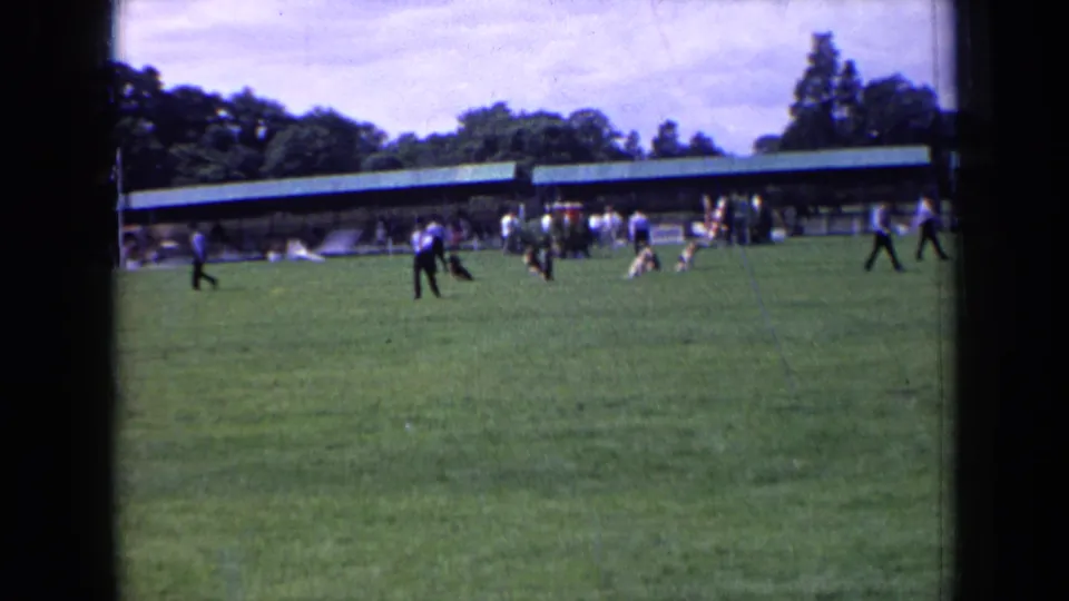 Wide 1963 England dog-show view with handlers and dogs spread across the field near spectators and a long covered structure.