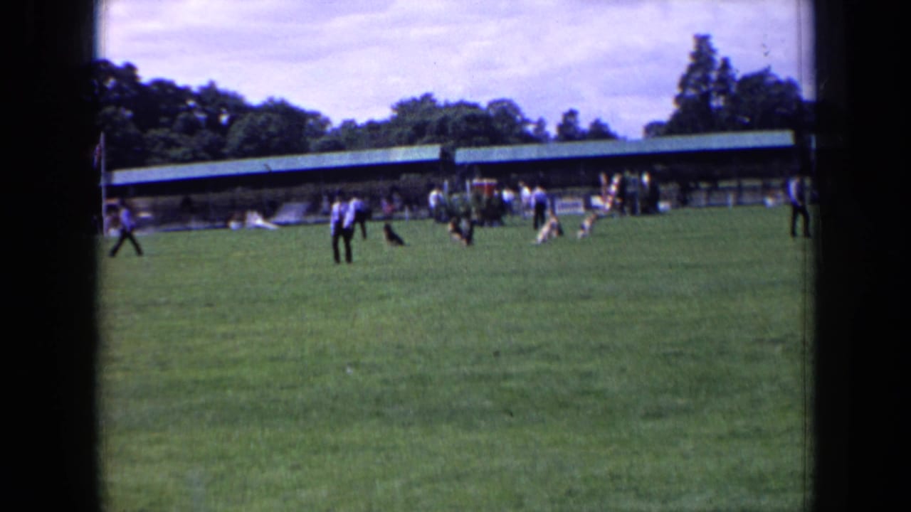 1963 England home-movie frame showing adults and dogs spread across a green field with a long covered pavilion and trees behind them.