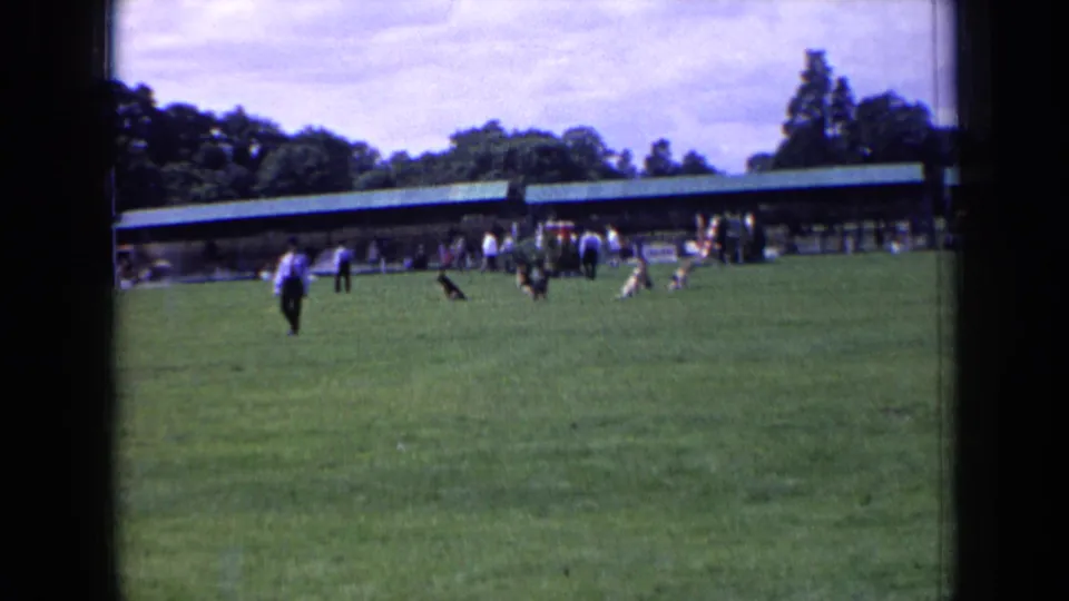 1963 England home-movie view of people and dogs on a school-event field, with a low covered pavilion and trees in the background.