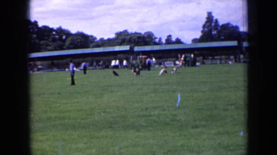1963 England frame showing a sunny green field, distant people and dogs, and a long pavilion captured in soft handheld 8mm footage.