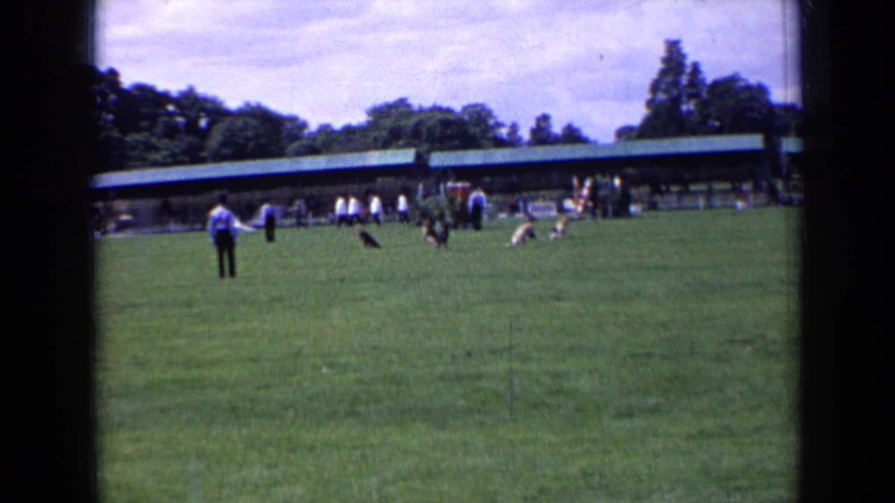 1963 England 8mm frame showing a handler on a grass field with a black dog and distant dog-show activity near a covered pavilion.