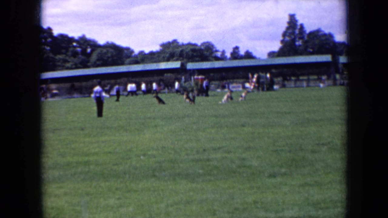 1963 England home-movie frame of a black dog crossing an open field during an obedience exercise, with handlers and spectators behind.