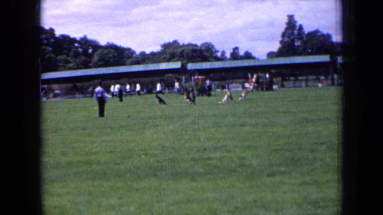 1963 England 8mm frame showing a handler and black dog on a grass field, framed by distant people, dogs, and a pavilion.