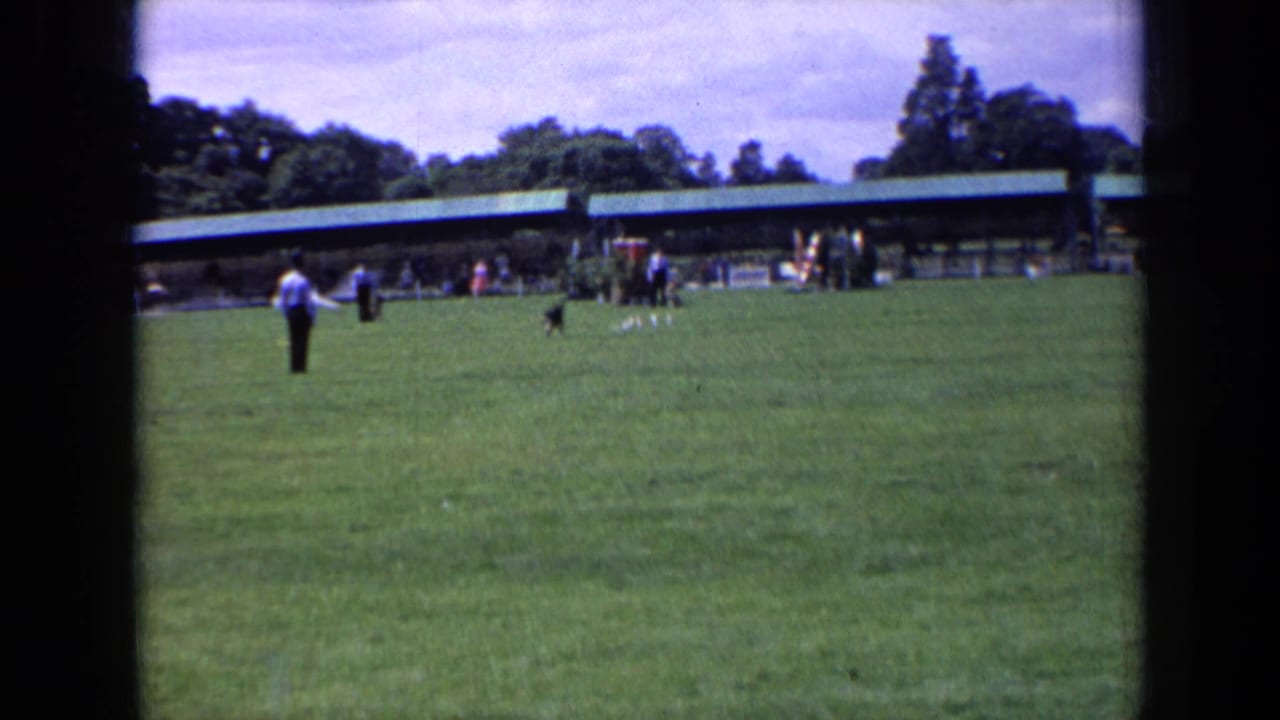 1963 England home-movie frame of a black dog returning across a grassy field while the handler watches from the left.