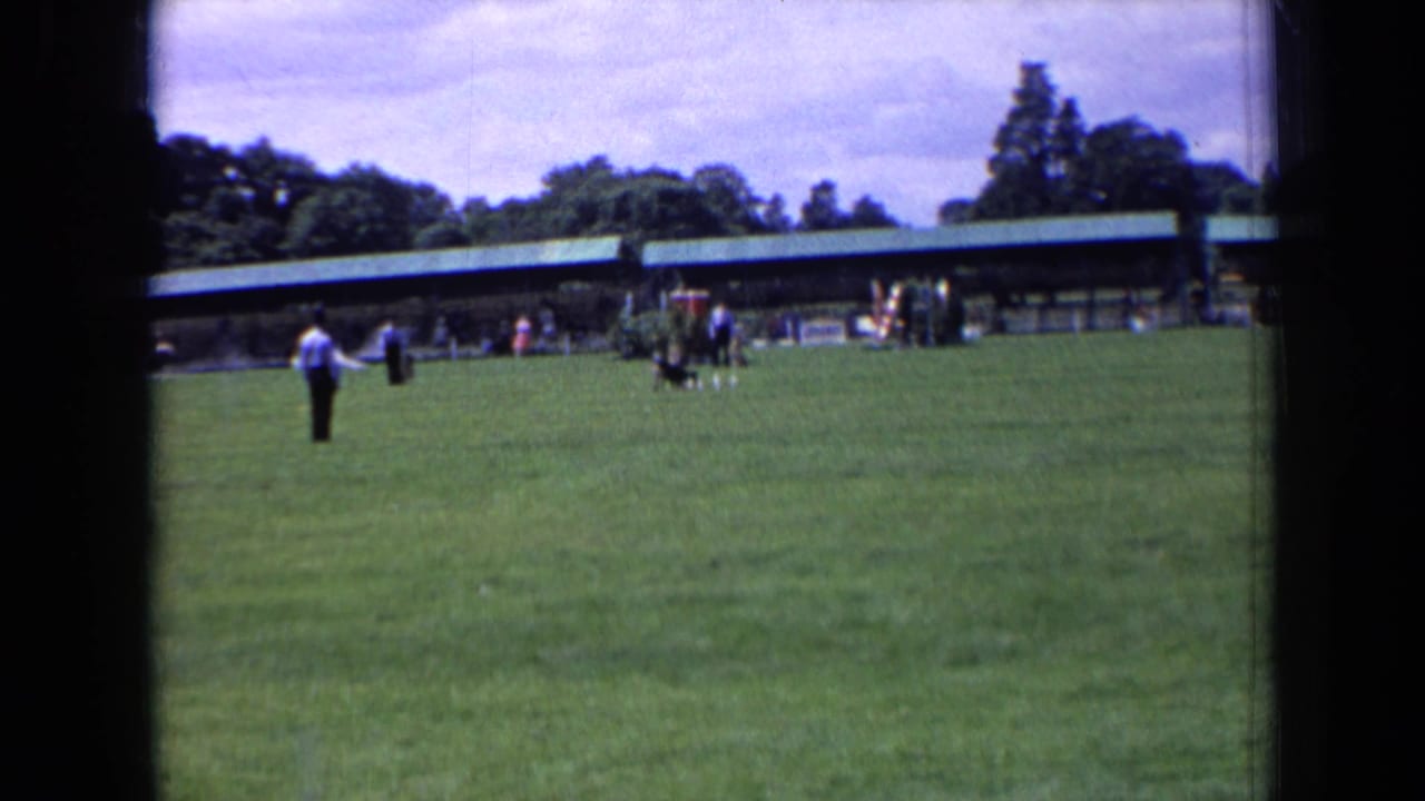 1963 England home-movie frame showing a man on a grass field while a dog and distant people gather near a long green-roofed shelter.