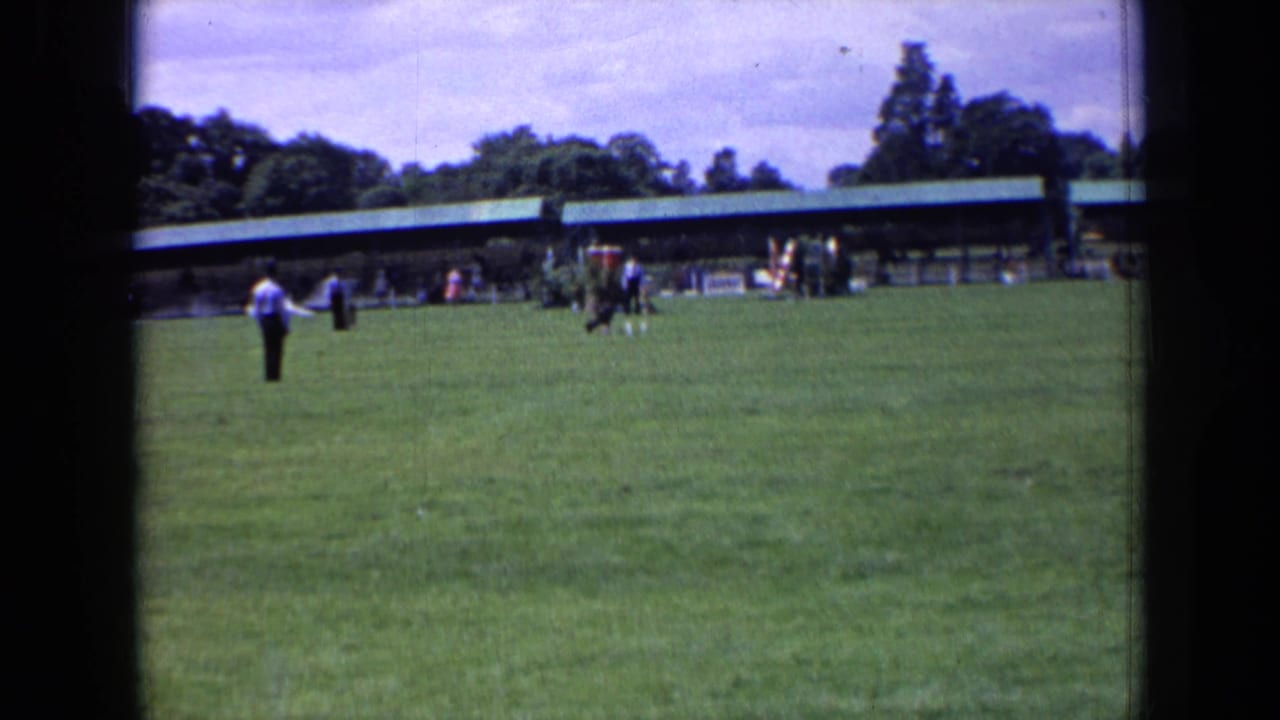 1963 England 8mm frame with a handler in the foreground, a dog moving across the lawn, and spectators by a long shelter.