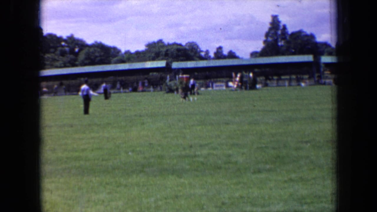 Final 1963 England frame showing the handler on the lawn and dog activity near spectators under a long green-roofed shelter.