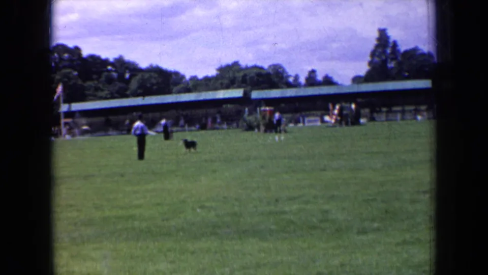 The small dog nears the handler on the grass, with a pavilion, trees, and distant spectators visible in this 1963 England home movie frame.